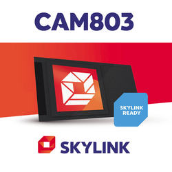 Dekódovací modul CAM803 Nagravision pro Skylink